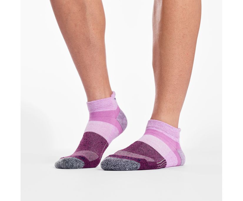 Saucony Inferno No Show Tab 3-Pack Socks Erkek Çorap Pembe | 332IG9C