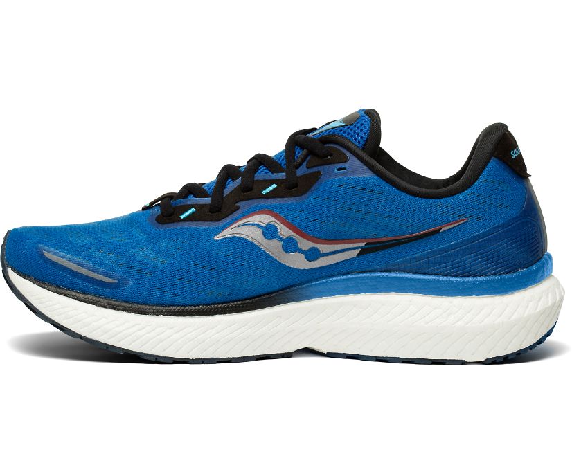 Saucony Triumph 19 Erkek Koşu Ayakkabısı Kraliyet Mavisi Koyu Yeşil | BDB36QO