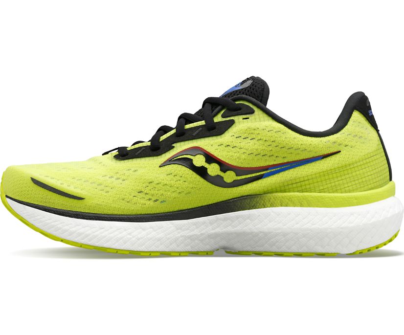 Saucony Triumph 19 Erkek Yürüyüş Ayakkabısı Sarı Mavi Siyah | SG3RCW9