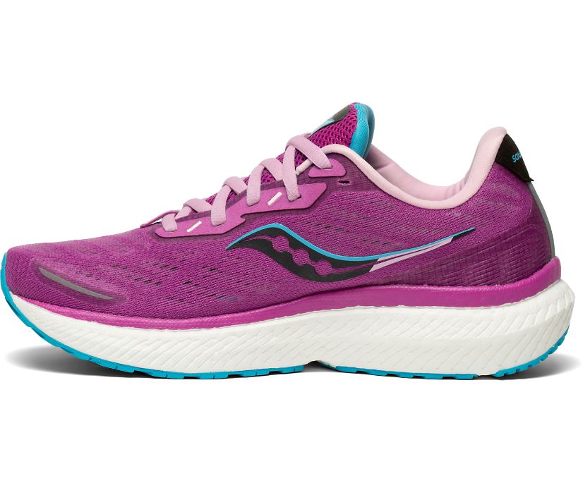 Saucony Triumph 19 Kadın Koşu Ayakkabısı Mor Mavi | SYNPU2D